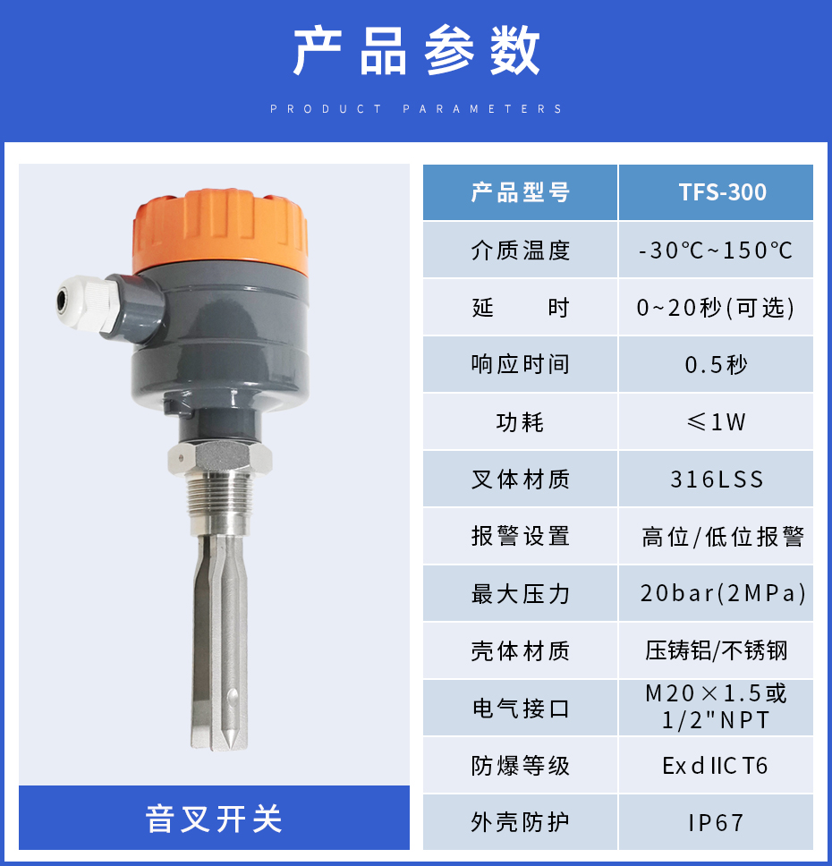 音叉開關(guān)TFS-300.jpg